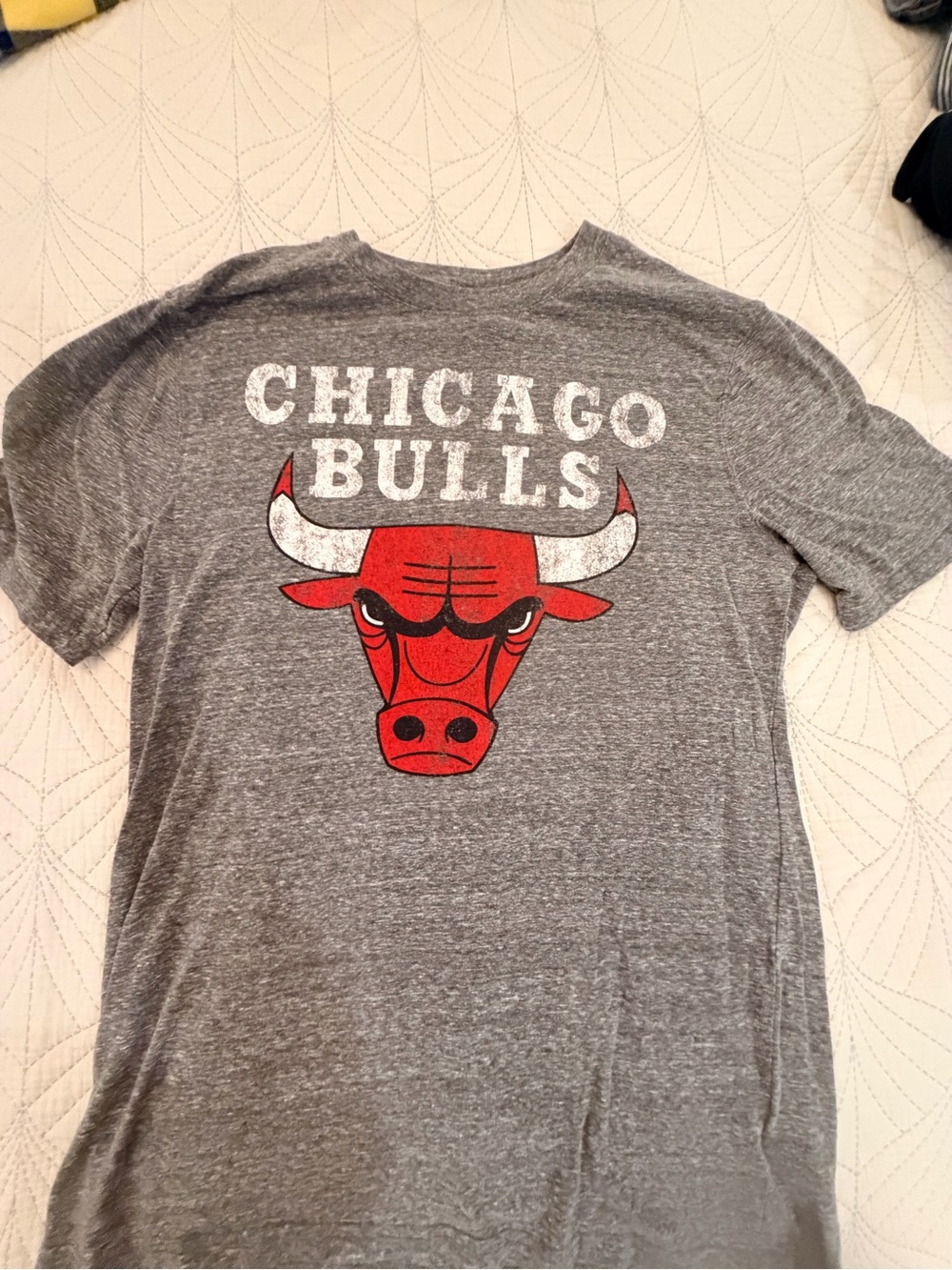 Chicago Bulls Men's Gray Short-Sleeve Graphic Tee with Red Logo